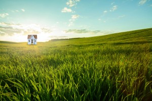 shutterstock2019_596155838