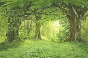 shutterstock_549289456