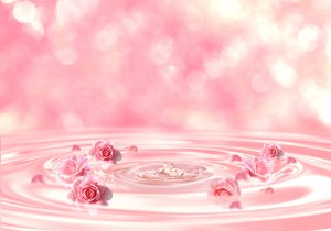 shutterstock_1241648977