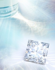 shutterstock_1338569324