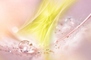 shutterstock_678720445