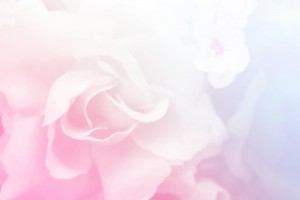 shutterstock_312463709