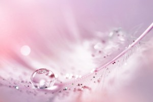 shutterstock_678720445
